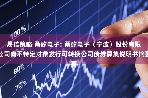 易倍策略 甬矽电子: 甬矽电子（宁波）股份有限公司向不特定对象发行可转换公司债券募集说明书摘要