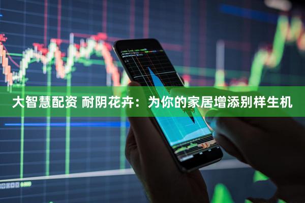 大智慧配资 耐阴花卉：为你的家居增添别样生机